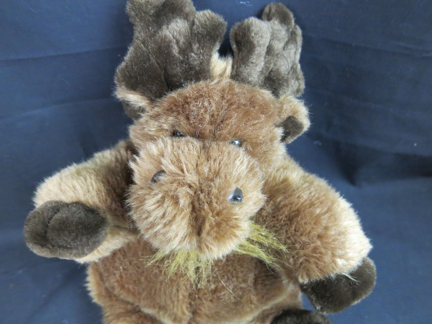 unipak moose